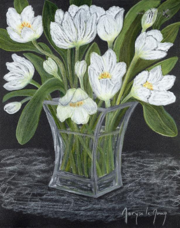 Bouquet de tulipes blanches - Le Moing Maryse