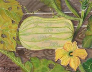 Drawing  and Calligraphy - Butternut from the garden - Le Moing Maryse)